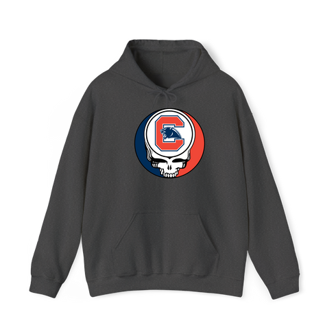 1663 - Custom Stealie Hoodie