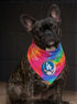 Los Angeles Dodgers Stealie Grateful Dead Dog Bandana - Fits Most Dogs