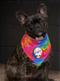 Los Angeles Dodgers Stealie Grateful Dead Dog Bandana - Fits Most Dogs
