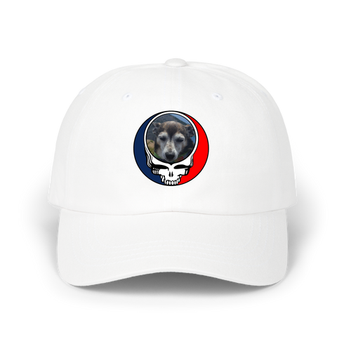 1500 - Custom Stealie Dad Hat