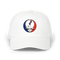 1673 - Custom Stealie Dad Hat