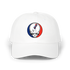 1673 - Custom Stealie Dad Hat