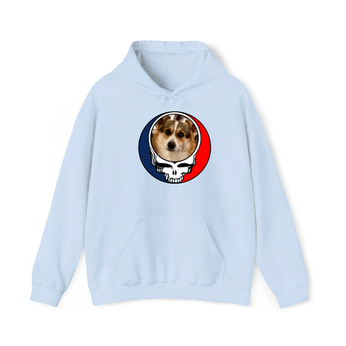 1592 - Custom Stealie Hoodie