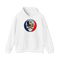 1698 - Custom Stealie Hoodie