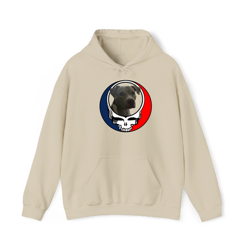 1437 - Custom Stealie Hoodie
