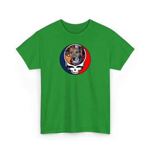 1505 - Custom Stealie T-Shirt