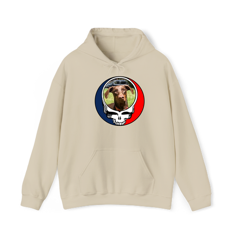 1463 - Custom Stealie Hoodie