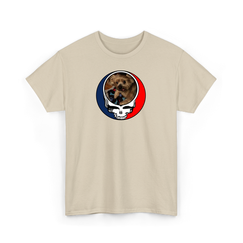 1349 - Custom Stealie T-Shirt