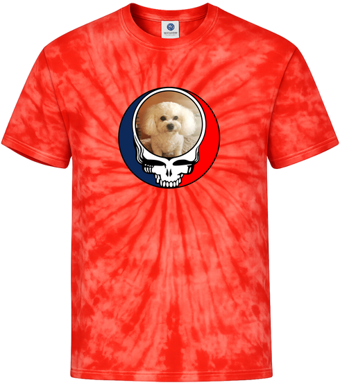 1641 - Custom Stealie Tie-Dye