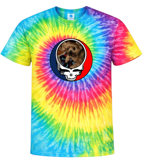 1349 - Custom Stealie Tie-Dye