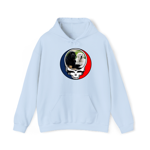 1619 - Custom Stealie Hoodie