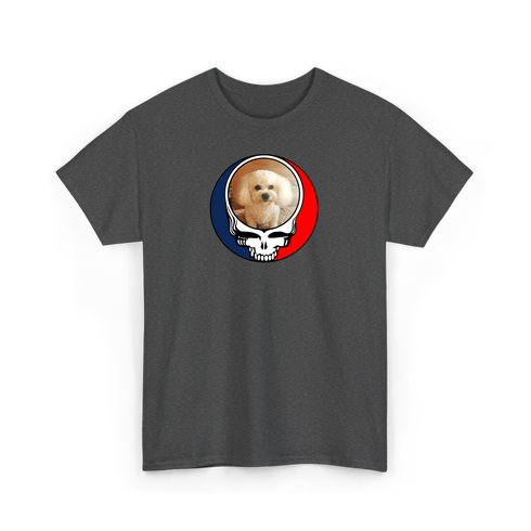 1641 - Custom Stealie T-Shirt