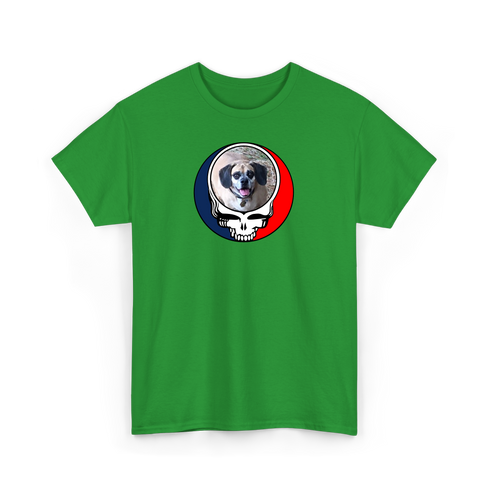 1735 - Custom Stealie T-Shirt