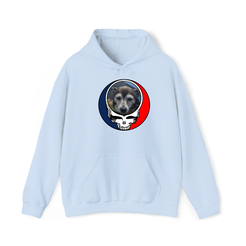 1500 - Custom Stealie Hoodie
