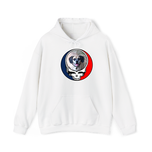1735 - Custom Stealie Hoodie