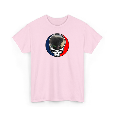 1713 - Custom Stealie T-Shirt