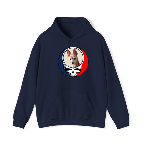 1478 - Custom Stealie Hoodie