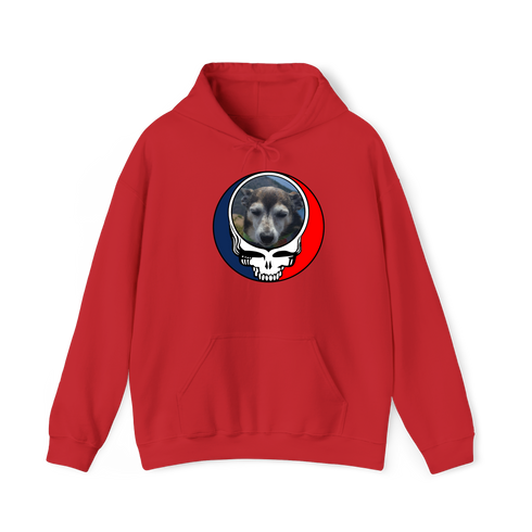 1500 - Custom Stealie Hoodie