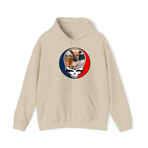 1355 - Custom Stealie Hoodie
