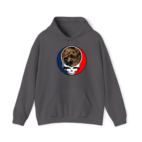 1349 - Custom Stealie Hoodie