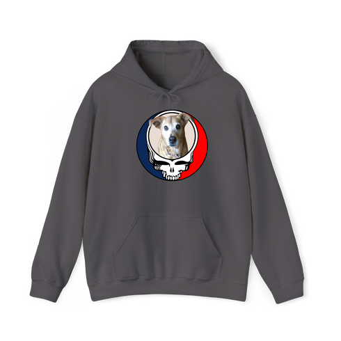 1474 - Custom Stealie Hoodie
