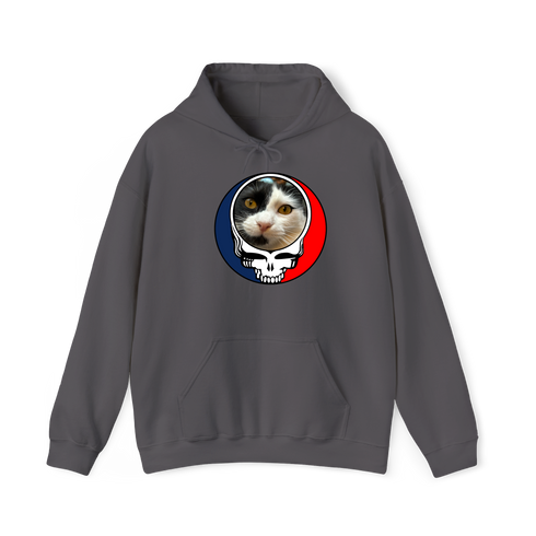 1626 - Custom Stealie Hoodie