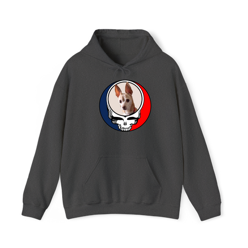 1478 - Custom Stealie Hoodie