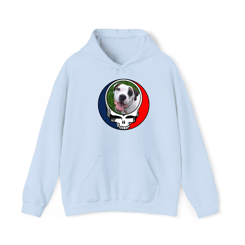 1456 - Custom Stealie Hoodie