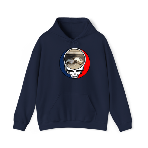 1661 - Custom Stealie Hoodie