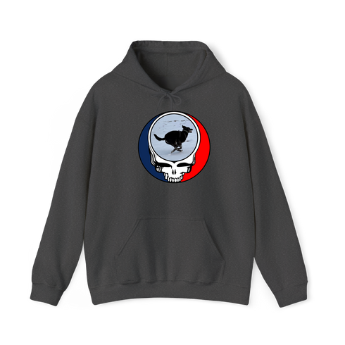 1628 - Custom Stealie Hoodie