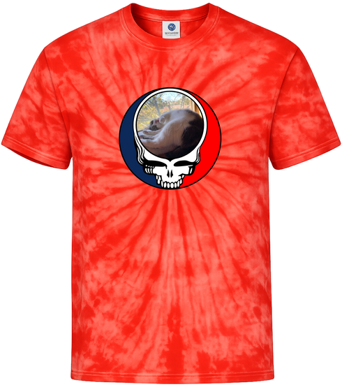 1634 - Custom Stealie Tie-Dye