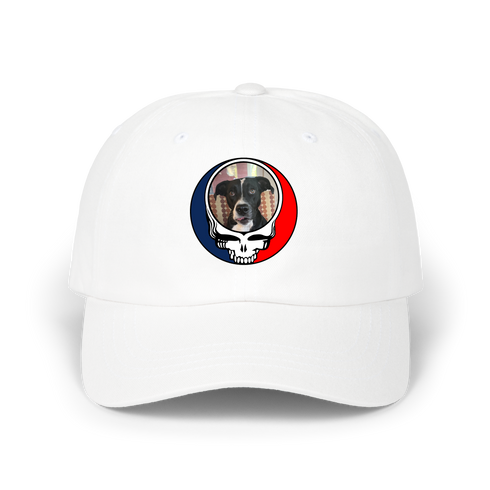 1517 - Custom Stealie Dad Hat