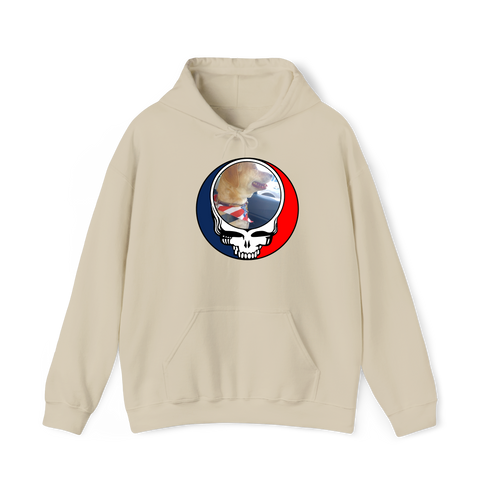 1647 - Custom Stealie Hoodie