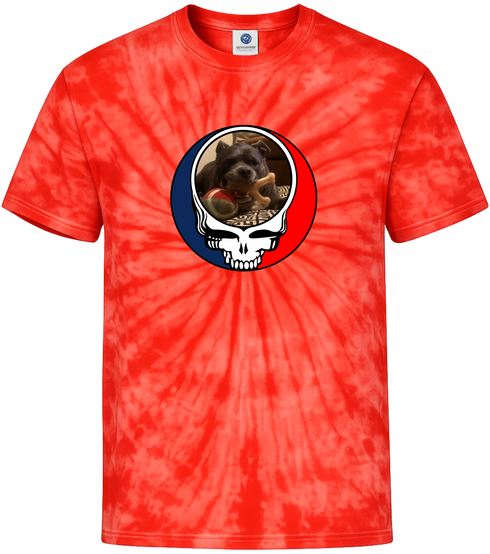 1544 - Custom Stealie Tie-Dye