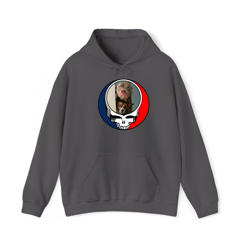 1629 - Custom Stealie Hoodie