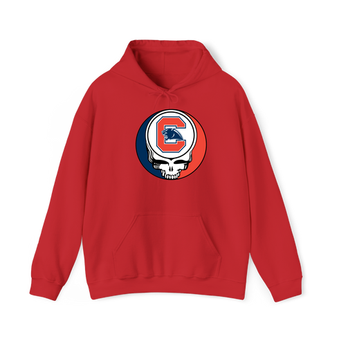 1663 - Custom Stealie Hoodie