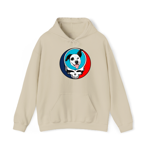1593 - Custom Stealie Hoodie