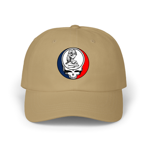 1733 - Custom Stealie Dad Hat