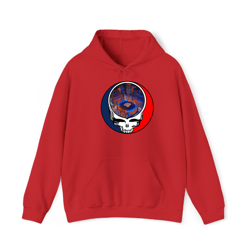 1597 - Custom Stealie Hoodie