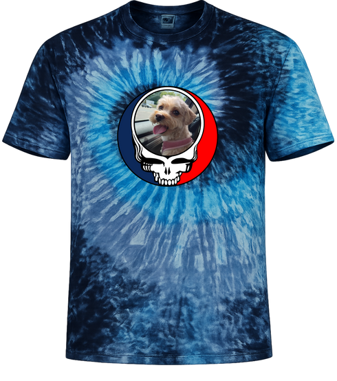 1644 - Custom Stealie Tie-Dye