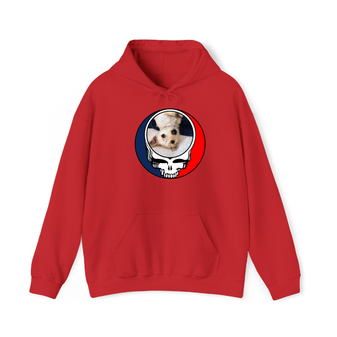 1615 - Custom Stealie Hoodie