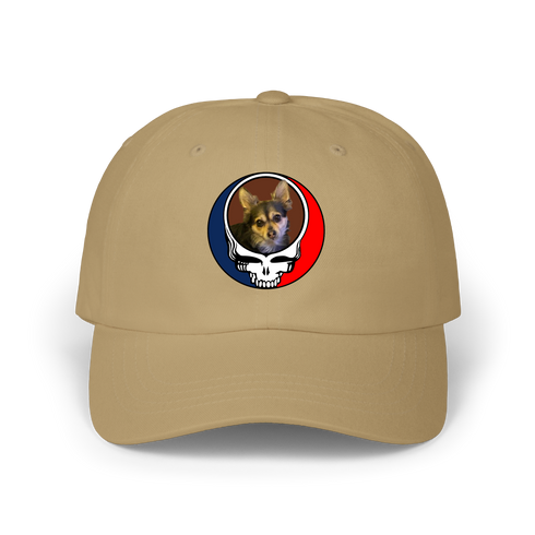 1447 - Custom Stealie Dad Hat