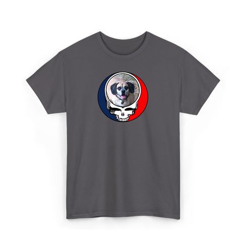 1735 - Custom Stealie T-Shirt