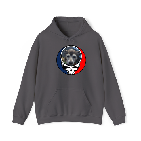 1500 - Custom Stealie Hoodie