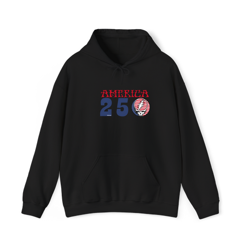 America 250 Stealie Hoodie