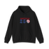 America 250 Stealie Hoodie