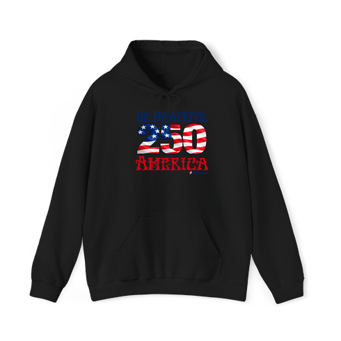 Be Grateful America Stealie Hoodie