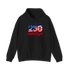 Be Grateful America Stealie Hoodie