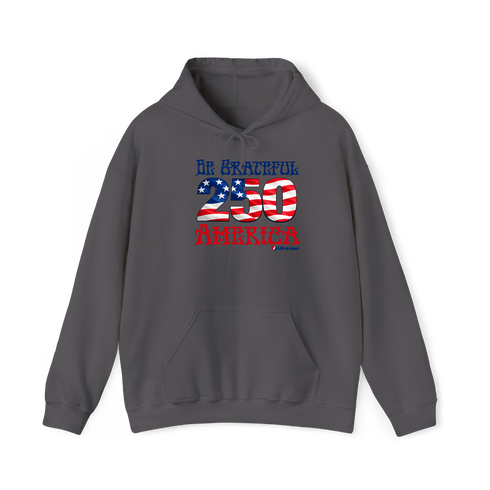 Be Grateful America Stealie Hoodie