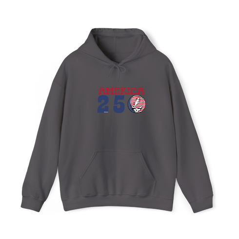 America 250 Stealie Hoodie